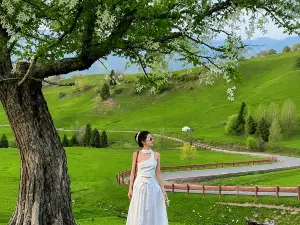 Batai Garden Boutique Retreat · Snow Mountain Wild Luxury · Birch Forest · Fruit · High Tea & Treats