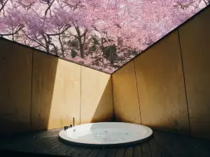 Kokage Villa Nikko-KVN