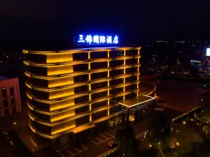 Sanjin International Hotel (Wuyi Station Development Avenue)