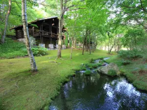 Hotel Nidom
