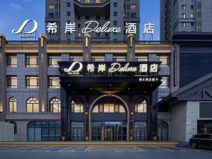 ザナデラックスホテル（鉄嶺南環路洲紀之星）