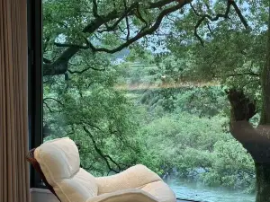 Xiangyu · Old Camphor Tree Homestay