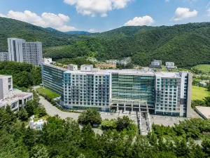 호텔 어라운드 평창
