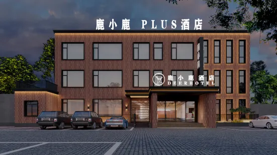 Luxiaolu PLUS Hotel (Xinxiang University Town)