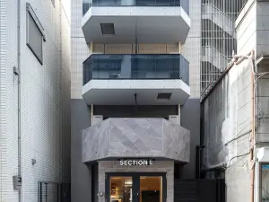 Section L Akihabara