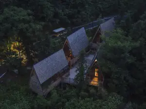 Ziyoujia · Tree house World