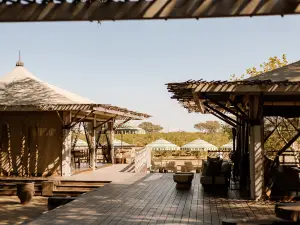 Savute Elephant Lodge