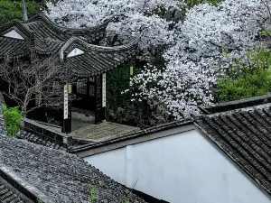 スカラーズ ブティックホテル 無錫巡塘