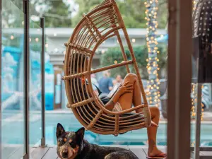 Noosa Flashpackers