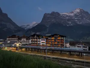 호텔 더비 그린덴발트 수페리어