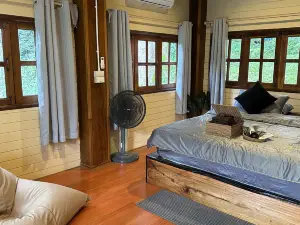 Hi Land Forest View