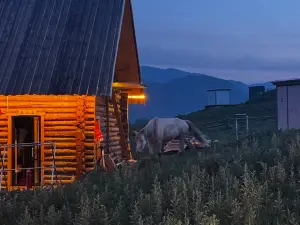 Fenghua Zhenxue Log Cabin - Fusion Aesthetics Restaurant Resort (Kanas Scenic Area Branch)