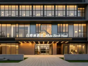白樺林ホテル(滎陽吾悅広場鄭州西駅)