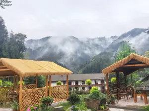 Wawushan Jingxin Courtyard Homestay