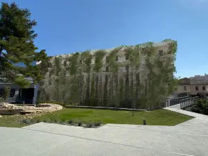 Mercure Nîmes Centre Arènes (Ouverture Juin 2026)