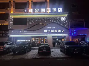 Platinum International Hotel (Tongjiang Russian Style Park Branch)