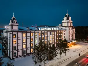 麗楓酒店(北極星廣場松苑公園店)