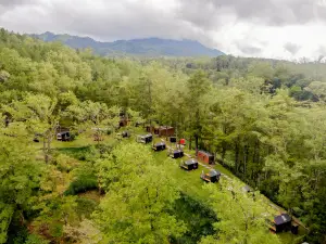 Bobocabin Coban Rondo Malang