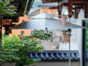 隱山梵野·‌Serenity‌設計師美宿（沙溪古鎮店）