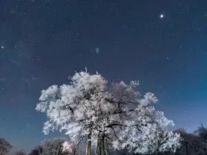 Fenghua Apartment (Jilin Vanke Songhua Lake Resort)