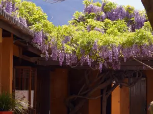 Dali Shaxi Wuqi Homestay