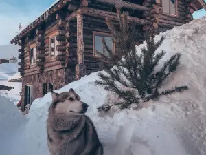 Alpine Chalet Pinewood