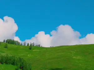 喀納斯山禾別院