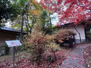 kaederesortKinugawa Onsen