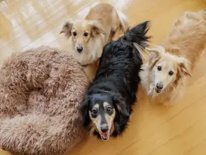 Wan Wan Paradise Nara Ikoma (Old:KAMENOI HOTEL YAMATO HEGURI)