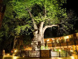 Cresta Mowana Safari Resort & Spa