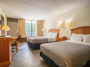 OYO Hotel Greensboro East I 40