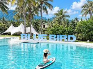 Blue Bird·Infinity Pool Designer Ocean Villa (Riyuewan Store)Wanning