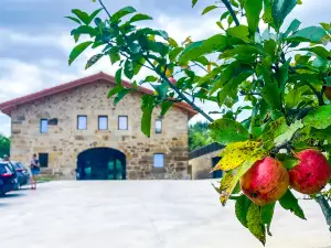 Solatsu Baserria - Apartament in the countryside