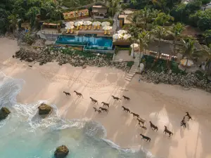 NIHI Sumba