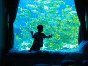 大理海洋ホテル