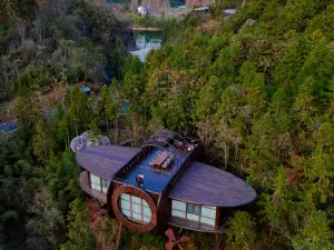 Ziyoujia · Tree house World