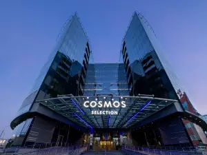 Cosmos Selection Moscow Sheremetyevo Airport Hotel, a Member of Radisson Individuals