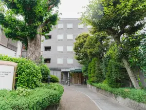 Forest Hongo by unito