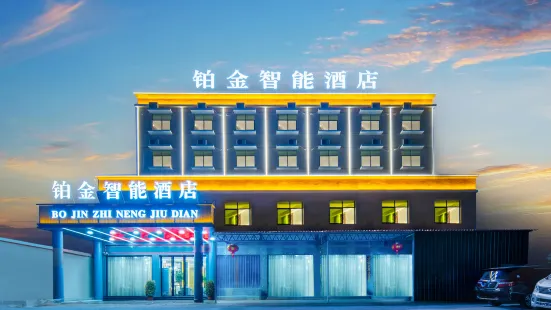 Platinum Intelligent Hotel (Dongfang Banqiao Town)