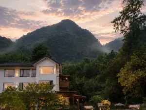 DAWNHILL · Mount Emei Ancient Grove Retreat