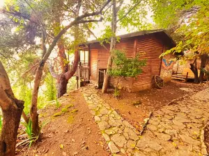 Kybele Nature Life