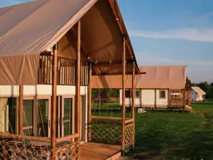 Hailonghu Camping Base