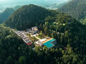 Youyang Taohuayuan Forest Hotel