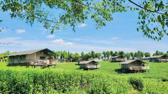 Changzhou Maoshan Forest World Camping Base
