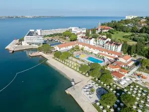 Hotel Vile Park