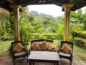 AMBA Estate