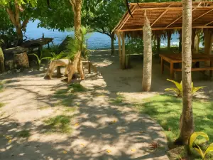 Beachfront on Aore Island, inc tours & transfers