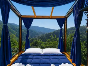 Hill house merisi
