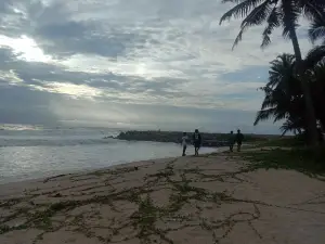 Marari beach daze homestay
