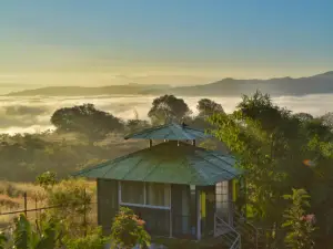 Forrest Homestay Villa